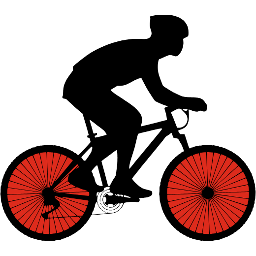 VELOMANIA vendita bici