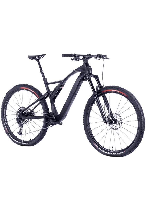 bicicletta